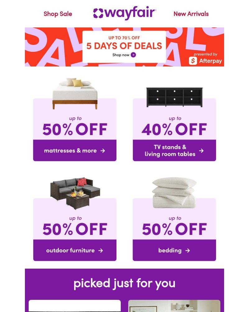 Screenshot of email sent to a Wayfair Newsletter subscriber