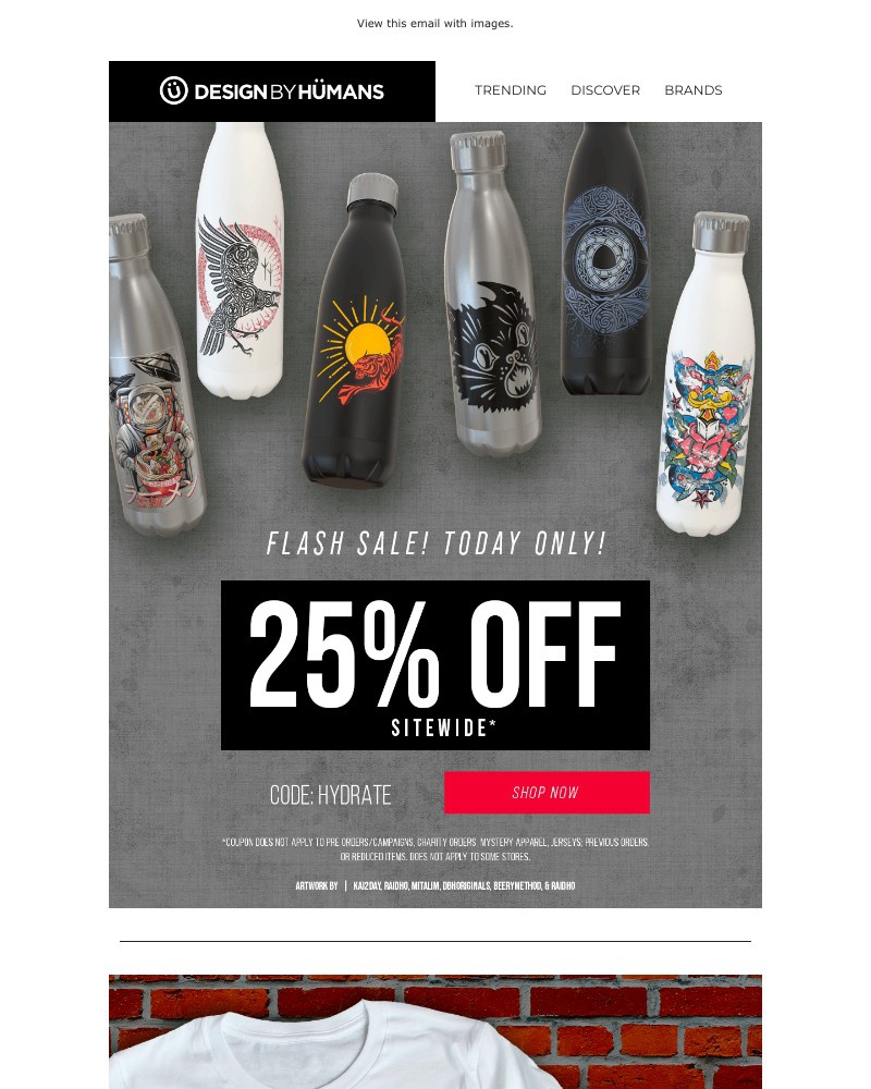 Screenshot of email with subject /media/emails/flash-dash-25-off-today-only-ce5964-cropped-e47f47a6.jpg