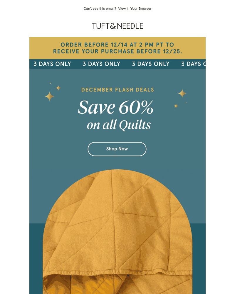 Screenshot of email with subject /media/emails/flash-deal-just-dropped-60-off-all-quilts-272bb4-cropped-b2826869.jpg