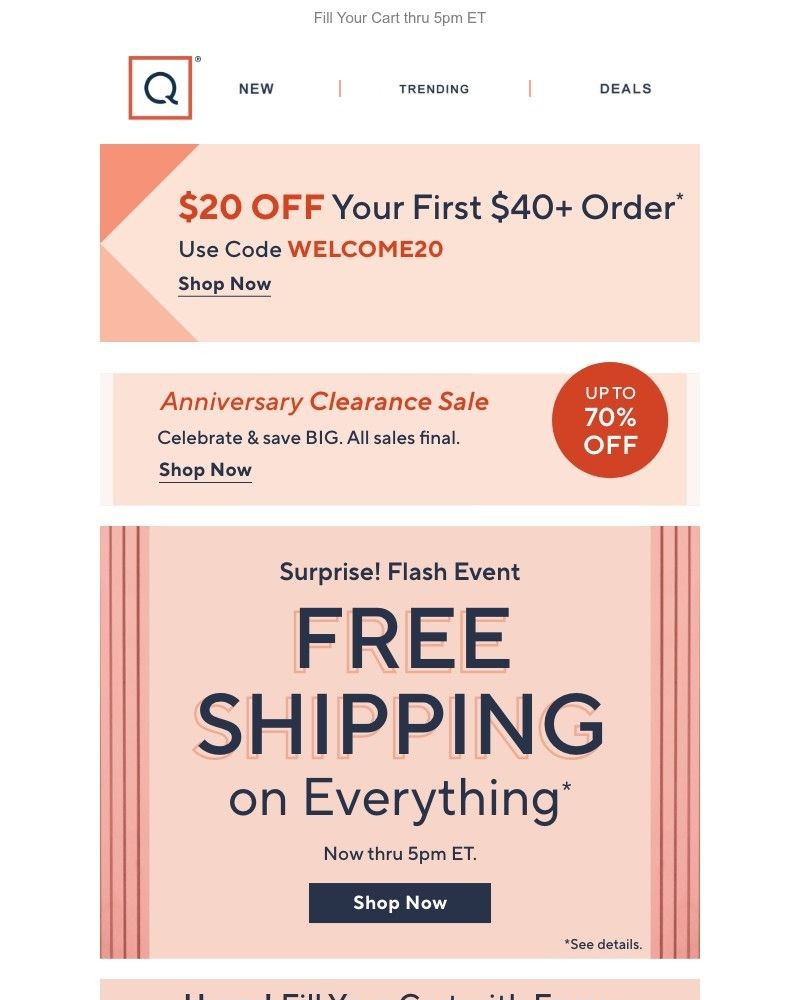 Screenshot of email sent to a QVC Newsletter subscriber