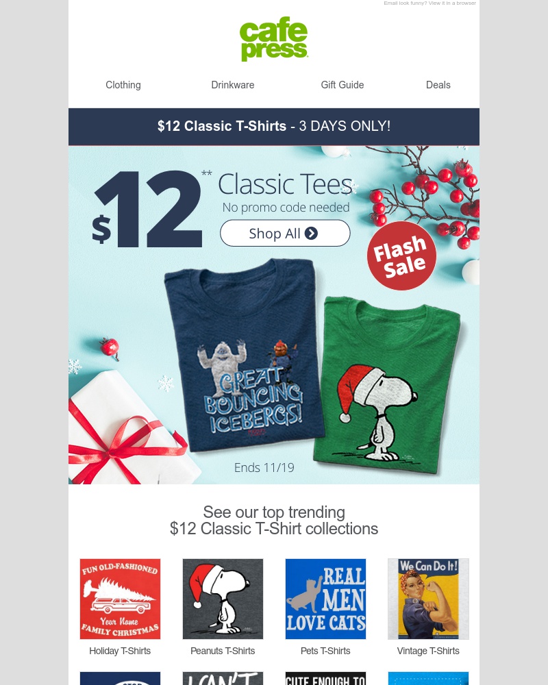 Screenshot of email with subject /media/emails/flash-sale-12-t-shirts-for-3-days-only-cropped-78319b9a.jpg