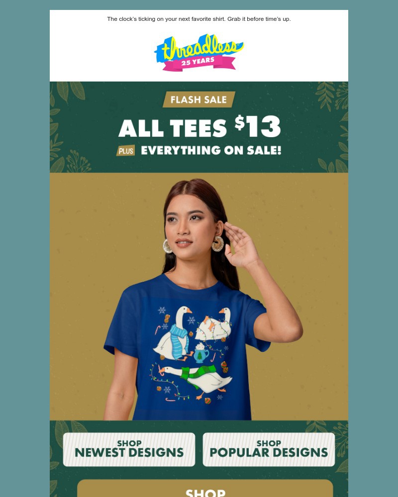 Screenshot of email with subject /media/emails/flash-sale-13-tees-are-here-0c146d-cropped-cbe34e3e.jpg