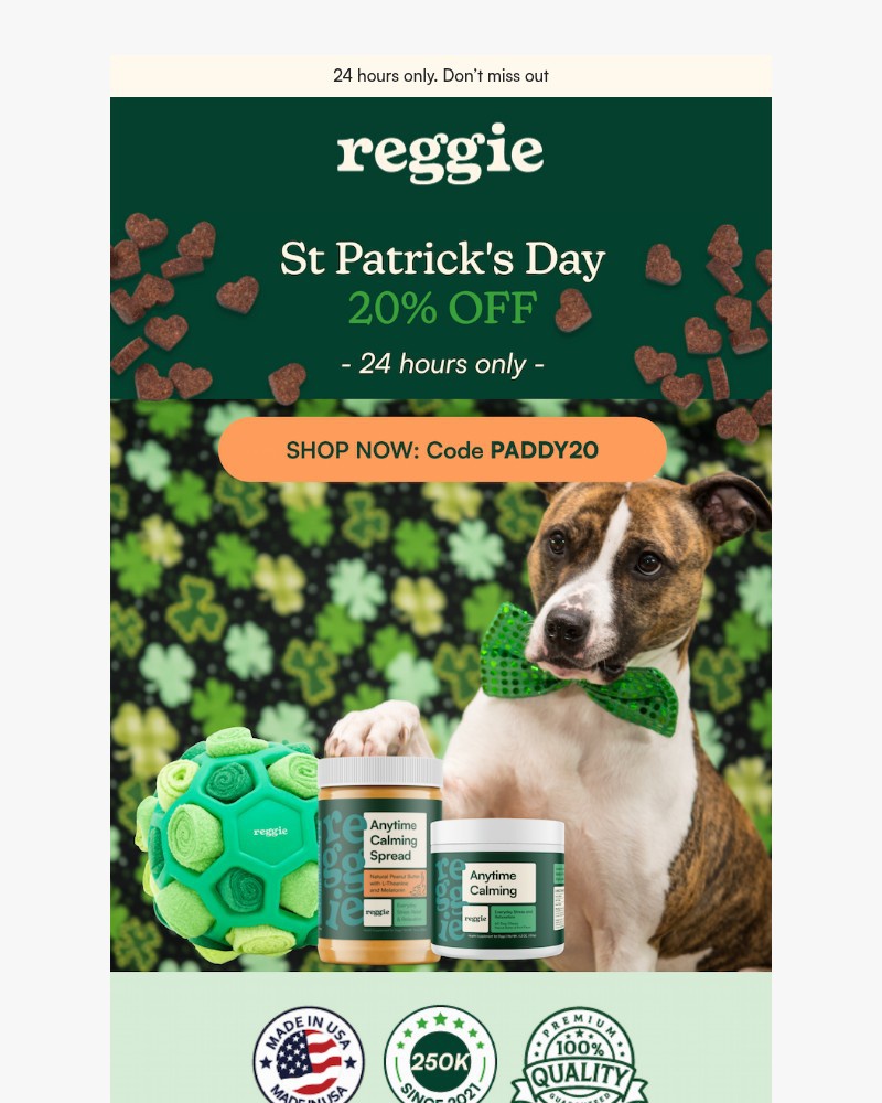 Screenshot of email sent to a reggie Newsletter subscriber