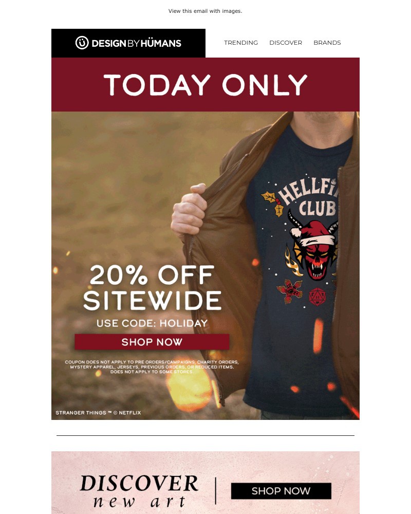 Screenshot of email with subject /media/emails/flash-sale-20-off-today-only-d90b97-cropped-117e7ec0.jpg