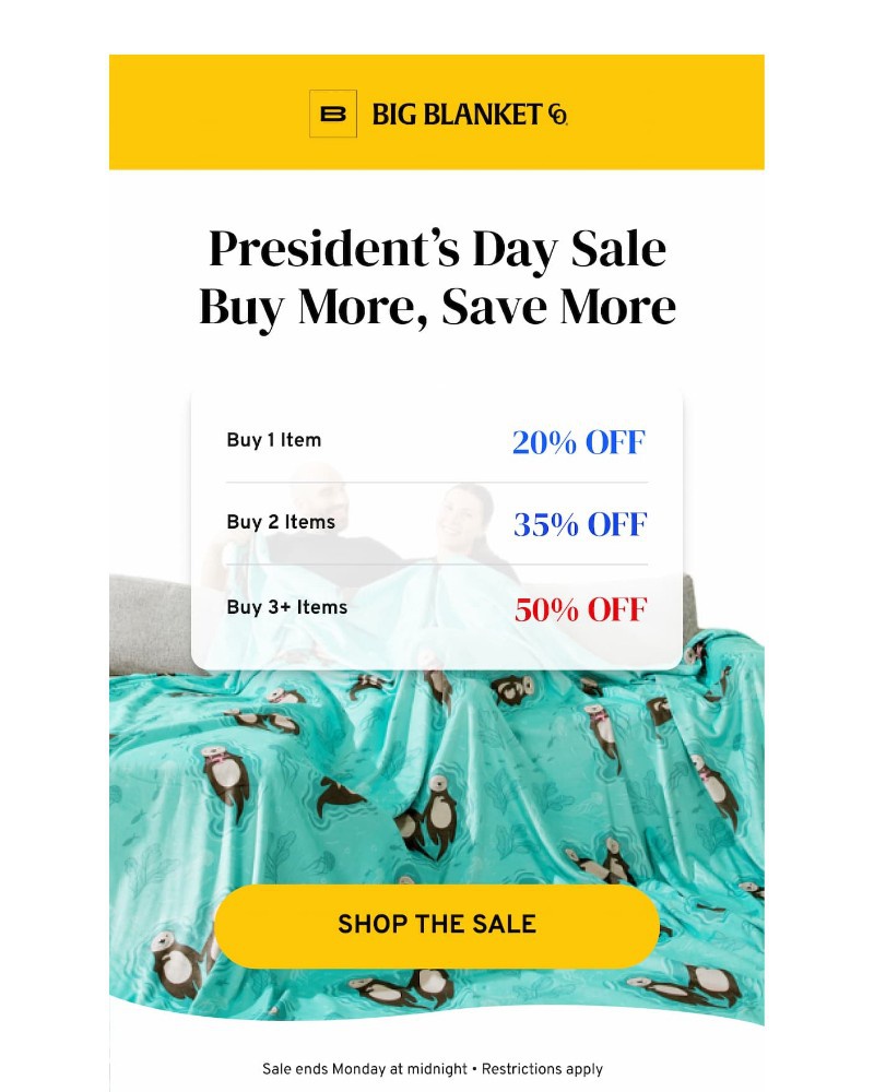 Screenshot of email with subject /media/emails/flash-sale-202631-cropped-fc6b72fa.jpg