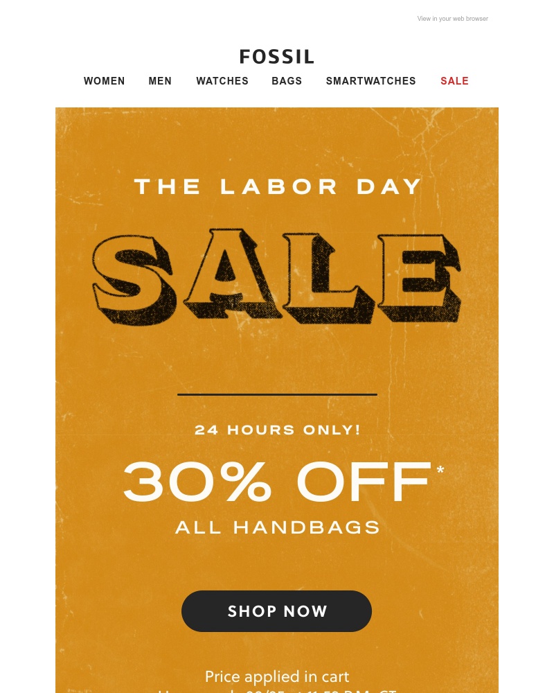 Screenshot of email with subject /media/emails/flash-sale-30-off-all-handbags-cropped-5771d481.jpg