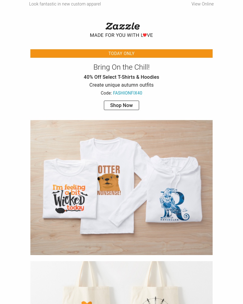 Screenshot of email with subject /media/emails/flash-sale-40-off-select-t-shirts-hoodies-cropped-85cd2c06.jpg