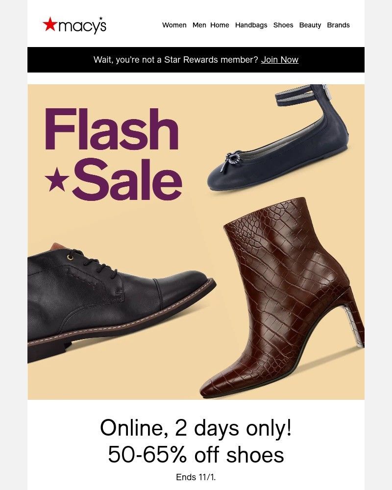 Screenshot of email with subject /media/emails/flash-sale-50-65-off-shoes-for-women-men-kids-3bf3be-cropped-055b4bbe.jpg