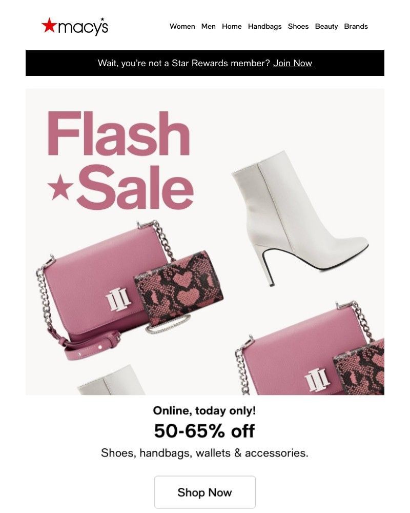 Screenshot of email with subject /media/emails/flash-sale-50-65-off-shoes-handbags-wallets-more-977cdd-cropped-1dbdb817.jpg
