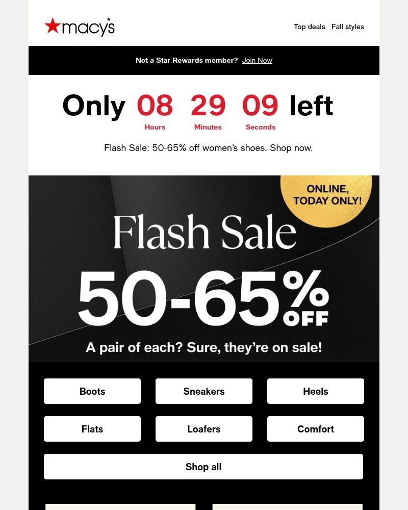 Screenshot of email with subject /media/emails/flash-sale-50-65-off-womens-shoes-ce60bf-cropped-7edef8b1.jpg