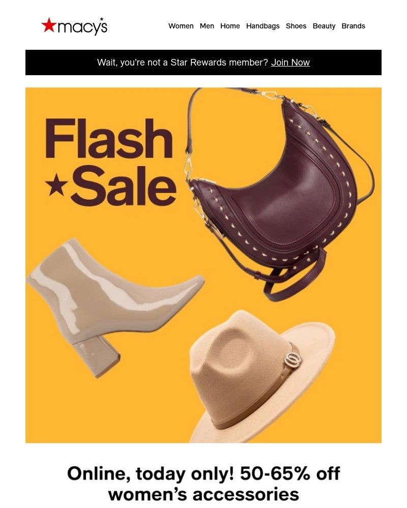 Screenshot of email with subject /media/emails/flash-sale-50-65-off-womens-shoes-handbags-accessories-bdf226-cropped-0f73d8d7.jpg