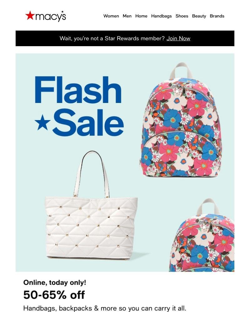 Screenshot of email with subject /media/emails/flash-sale-50-65-off-your-new-go-to-handbags-more-6c9c4d-cropped-f317e75c.jpg