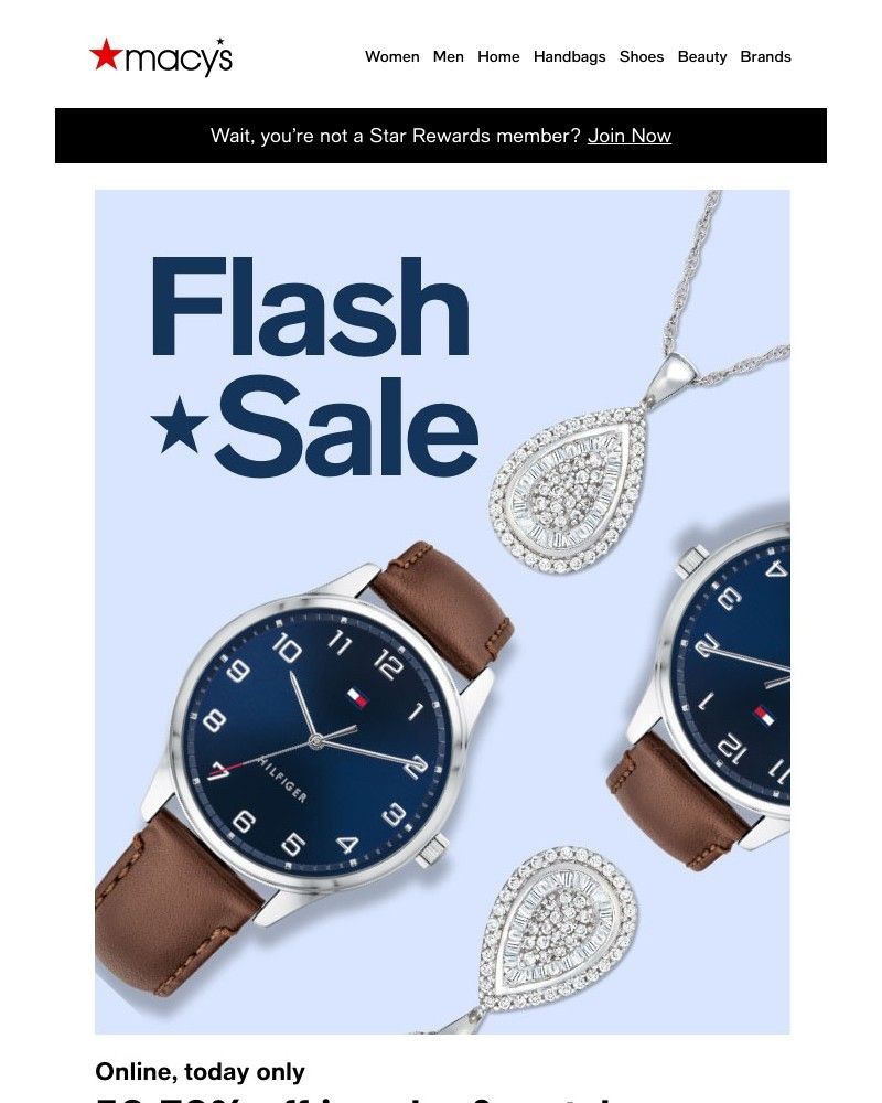 Screenshot of email with subject /media/emails/flash-sale-50-70-off-jewelry-and-watches-0d3e97-cropped-f3b245a5.jpg
