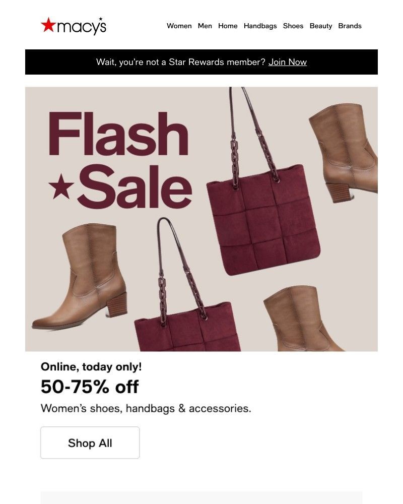 Screenshot of email with subject /media/emails/flash-sale-50-75-off-shoes-more-today-only-b6958b-cropped-233c9e9d.jpg