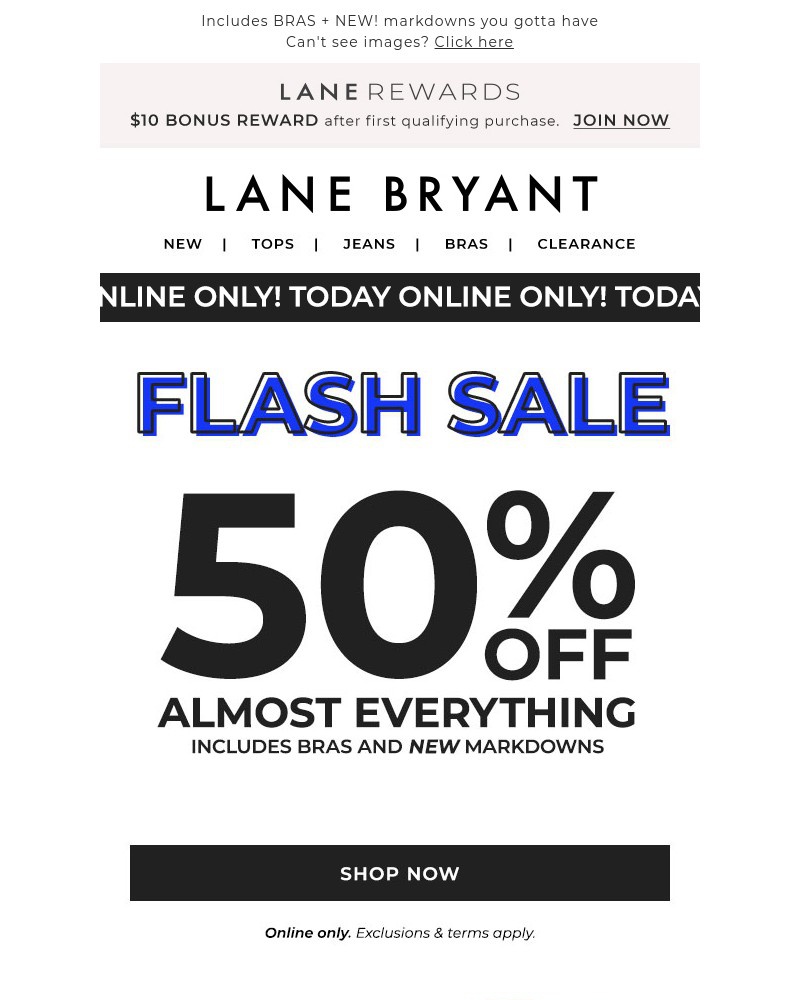 Screenshot of email with subject /media/emails/flash-sale-50-off-almost-everything-96626c-cropped-0d110a4c.jpg