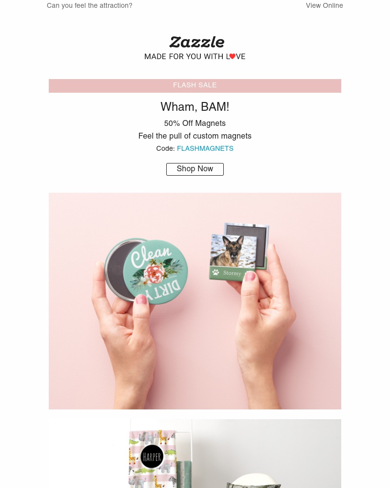 Screenshot of email with subject /media/emails/flash-sale-50-off-magnets-plus-15-off-sitewide-cropped-3a861c56.jpg