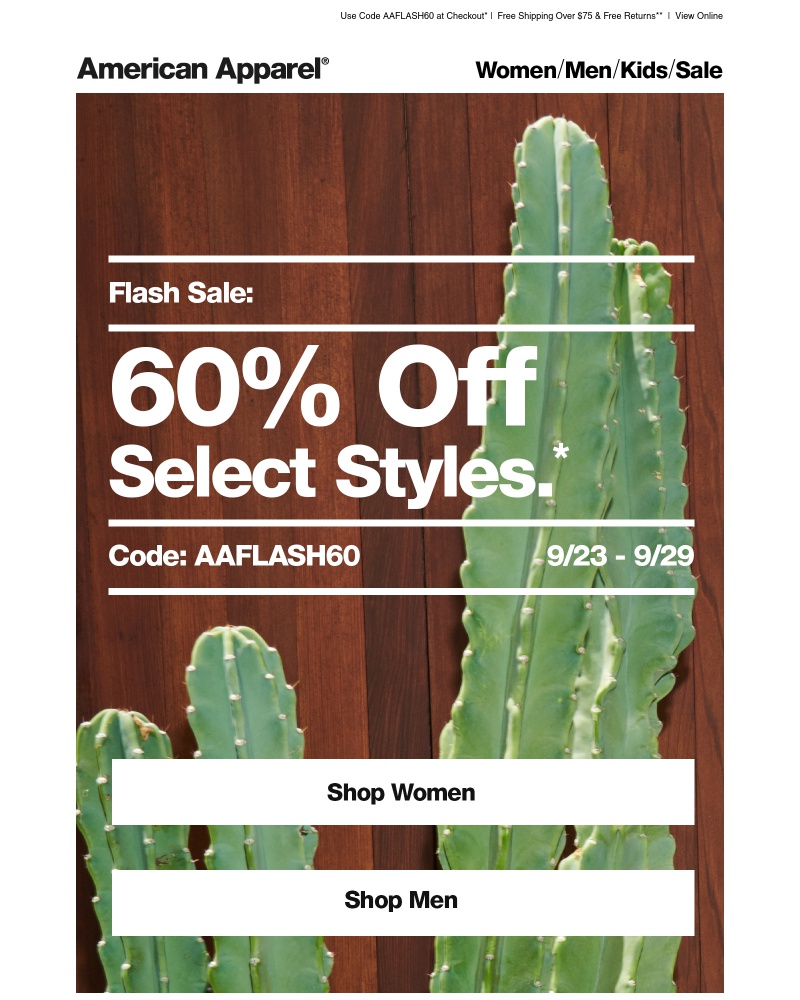 Screenshot of email with subject /media/emails/flash-sale-60-off-1-cropped-170bf5f0.jpg