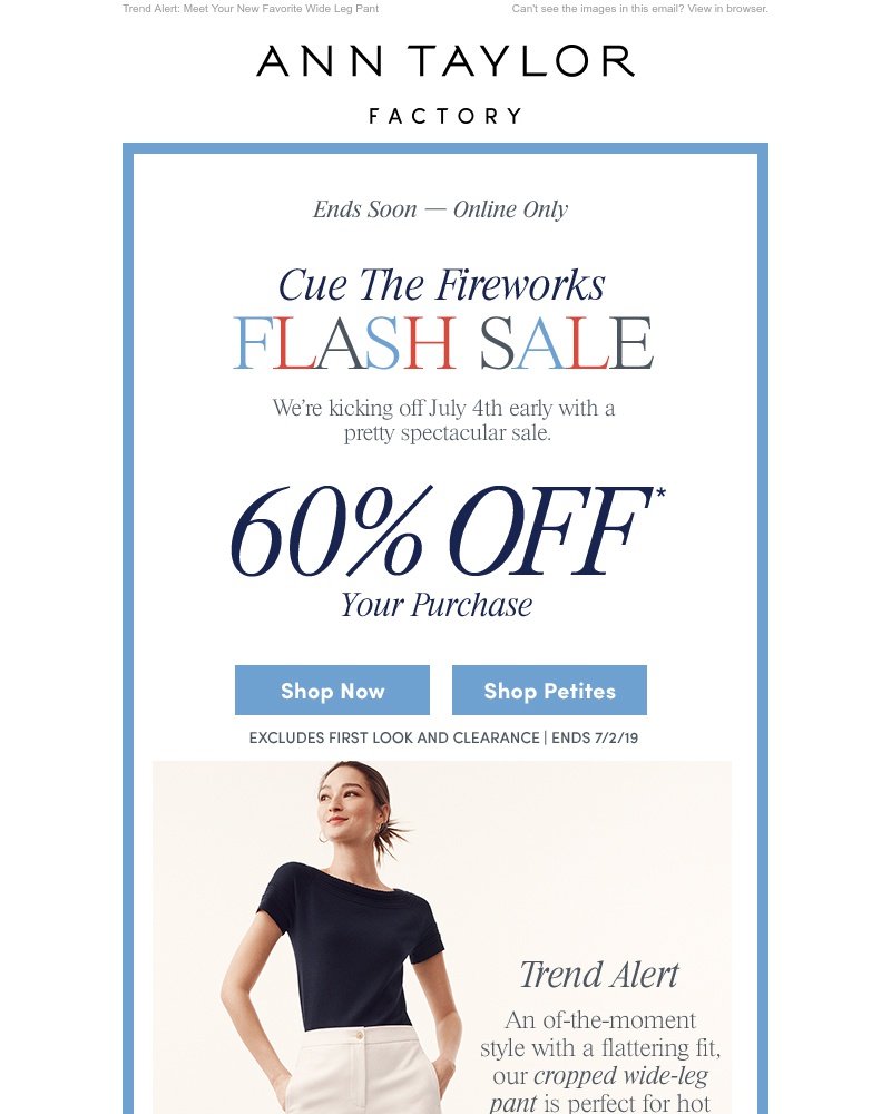 Screenshot of email with subject /media/emails/flash-sale-60-off-extra-20-off-clearance-cropped-e40a5174.jpg