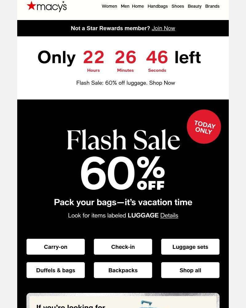 Screenshot of email with subject /media/emails/flash-sale-60-off-luggage-cd5f91-cropped-79d4bee1.jpg