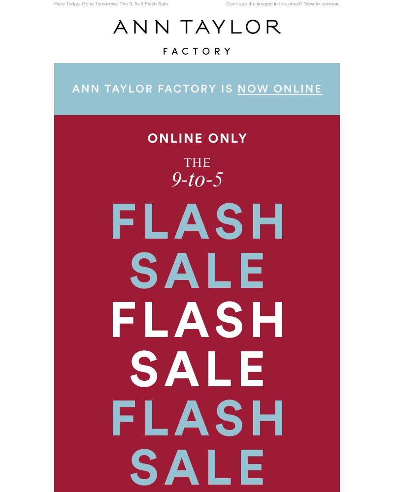 Screenshot of email with subject /media/emails/flash-sale-60-off-work-styles-extra-20-off-cropped-b38df05a.jpg