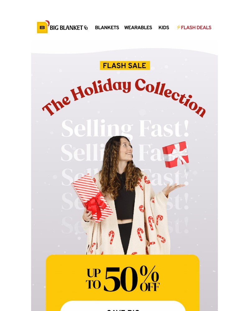 Screenshot of email with subject /media/emails/flash-sale-843d16-cropped-00e91d6d.jpg