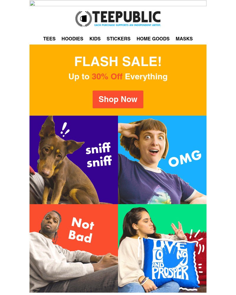 Screenshot of email with subject /media/emails/flash-sale-9de933-cropped-00f07b86.jpg