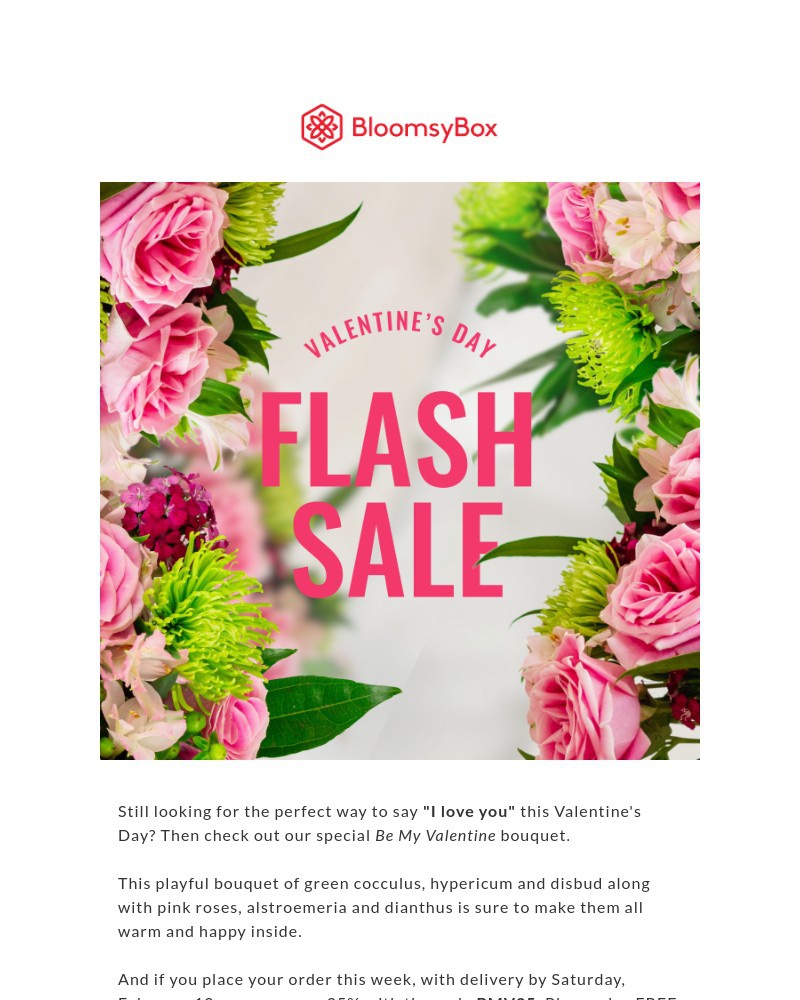 Screenshot of email with subject /media/emails/flash-sale-a29f88-cropped-53fa23df.jpg