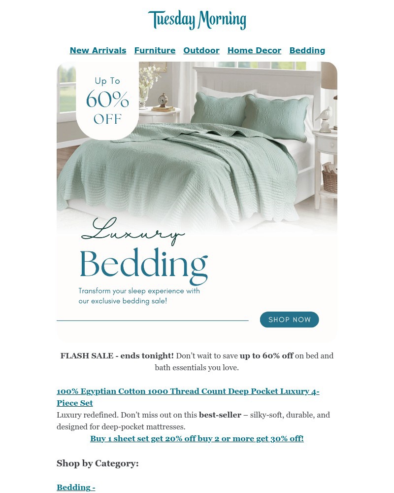 Screenshot of email with subject /media/emails/flash-sale-bed-bath-blowout-up-to-70-off-8dee88-cropped-9ae7c685.jpg