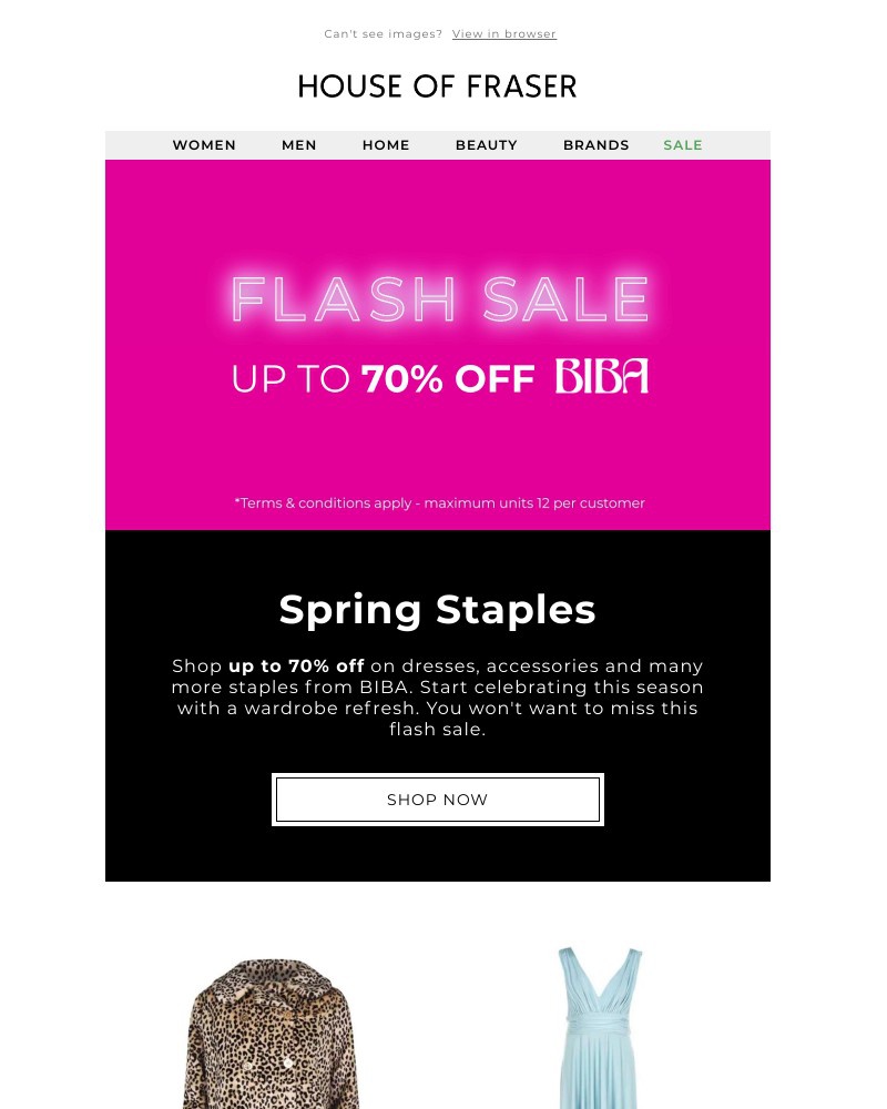 Screenshot of email with subject /media/emails/flash-sale-biba-9a72c5-cropped-64415050.jpg