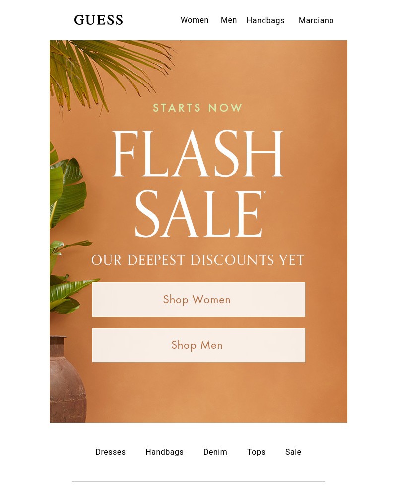 Screenshot of email with subject /media/emails/flash-sale-dont-miss-85776d-cropped-bd055b74.jpg