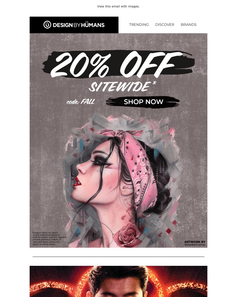 Screenshot of email with subject /media/emails/flash-sale-ea7904-cropped-0e37a686.jpg