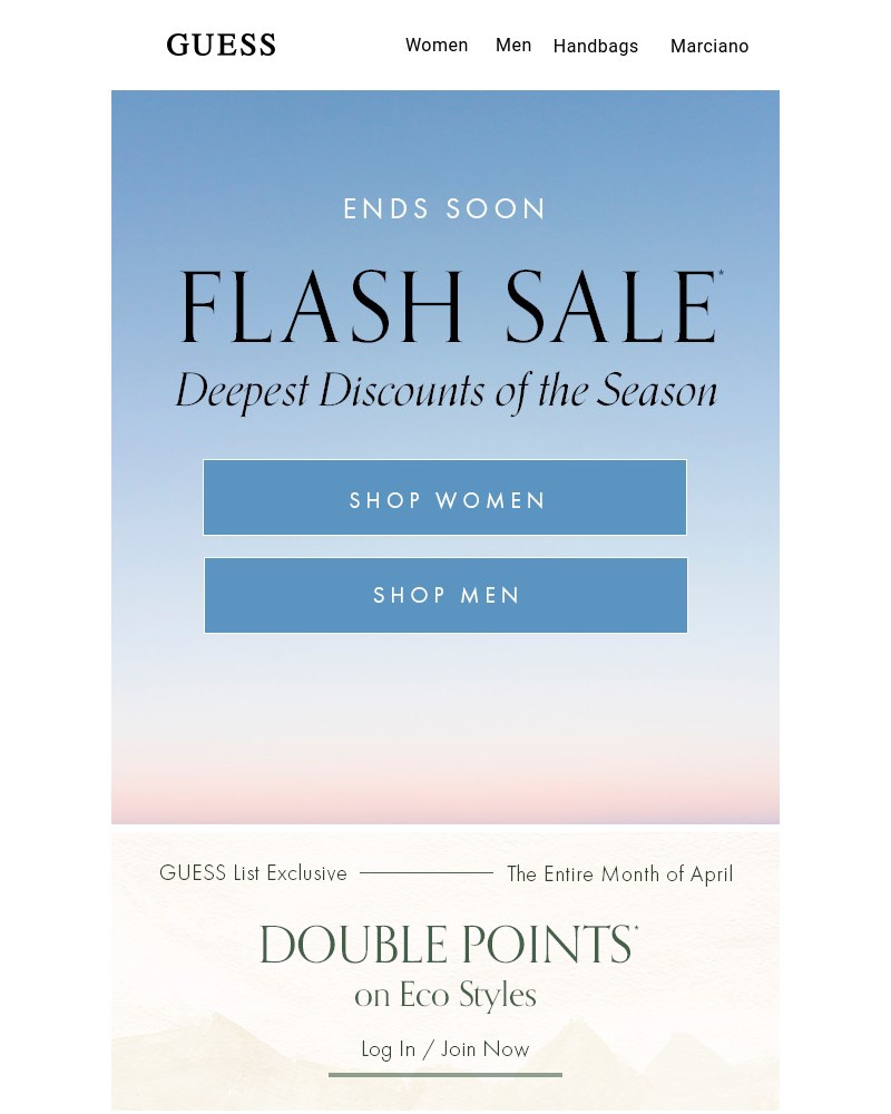 Screenshot of email with subject /media/emails/flash-sale-ending-soon-65f866-cropped-11a4d235.jpg
