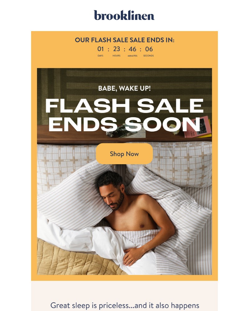 Screenshot of email with subject /media/emails/flash-sale-ends-soon-8507cf-cropped-671cac7e.jpg