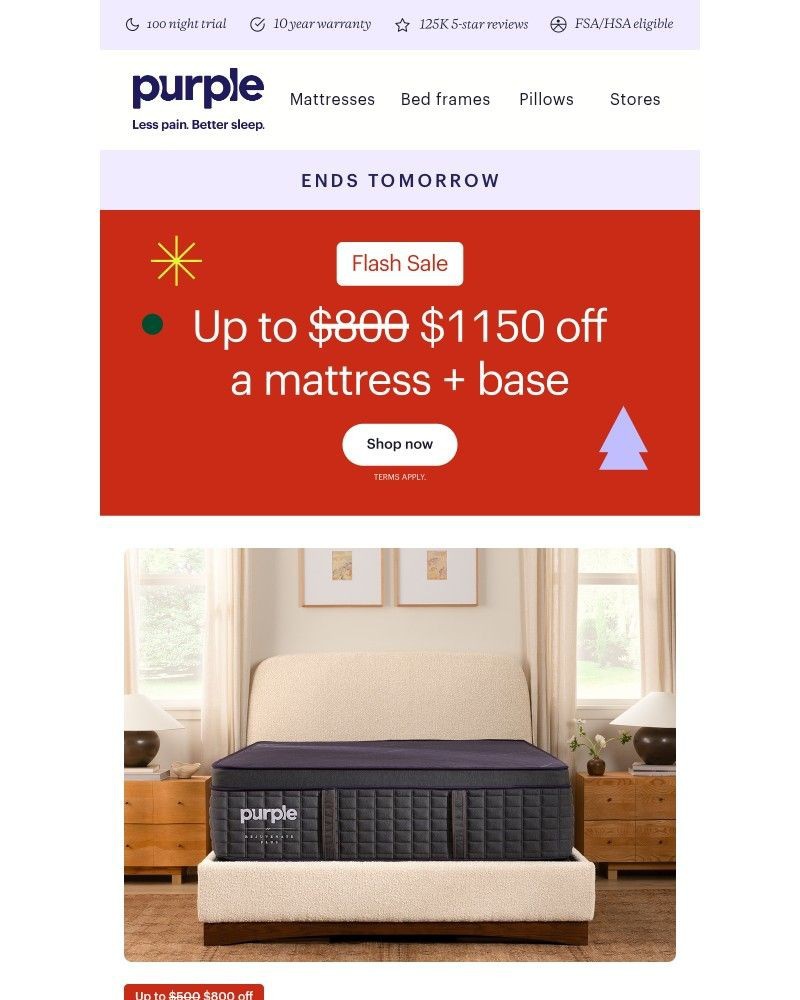 Screenshot of email with subject /media/emails/flash-sale-ends-tomorrow-0ec9b1-cropped-6a8618e9.jpg