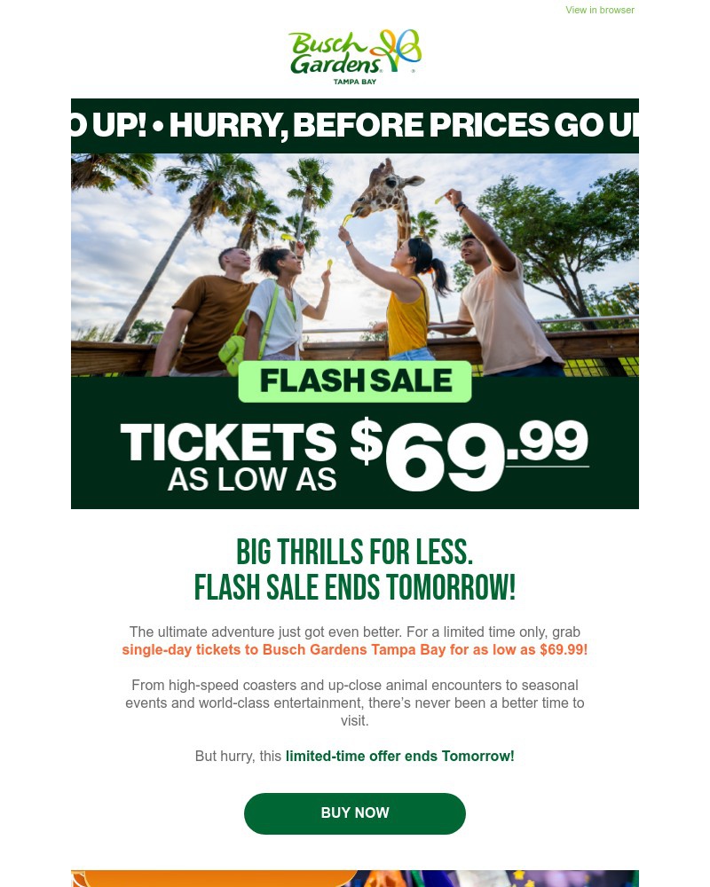 Screenshot of email with subject /media/emails/flash-sale-ends-tomorrow-tickets-as-low-as-6999-025560-cropped-8dd075c5.jpg