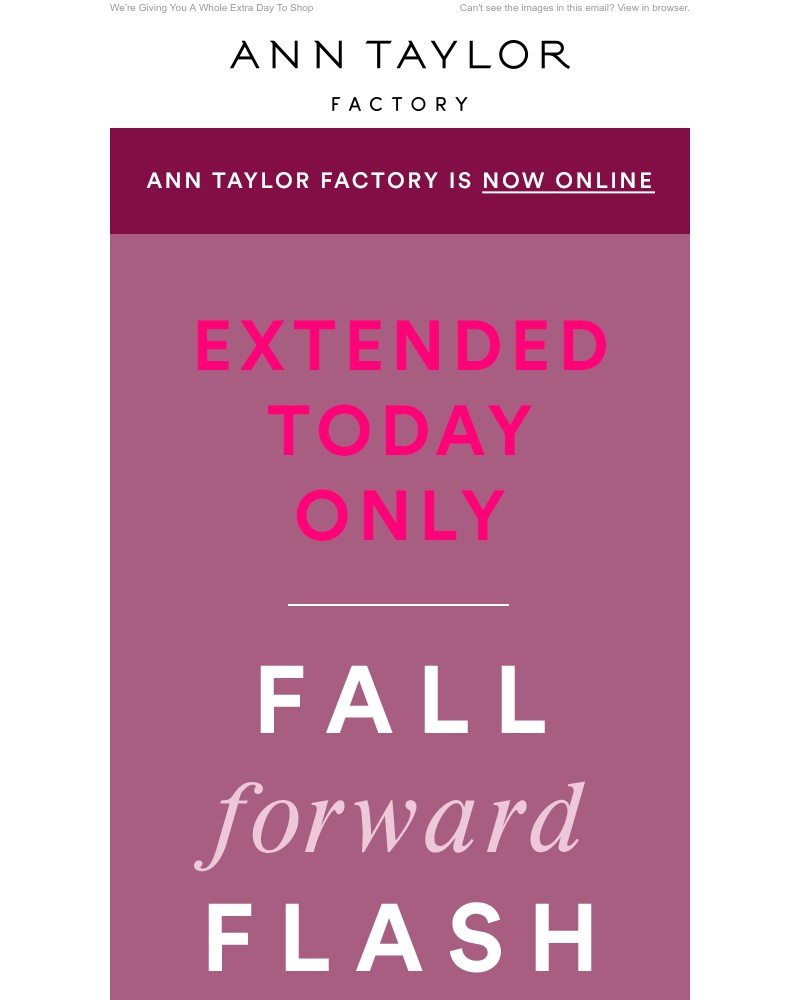 Screenshot of email with subject /media/emails/flash-sale-extended-60-off-extra-15-off-cropped-d4ef4e38.jpg