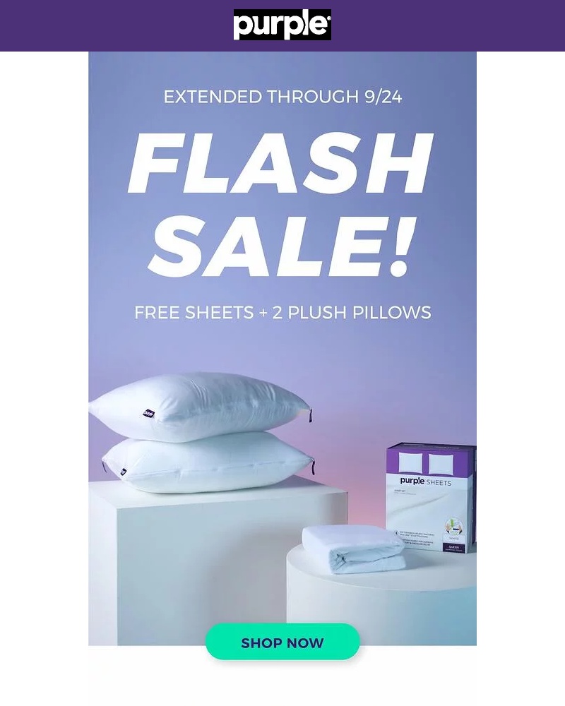 Screenshot of email with subject /media/emails/flash-sale-extended-through-924-get-2-plush-pillows-sheets-with-mattress-purchase_jEgNtGa.jpg