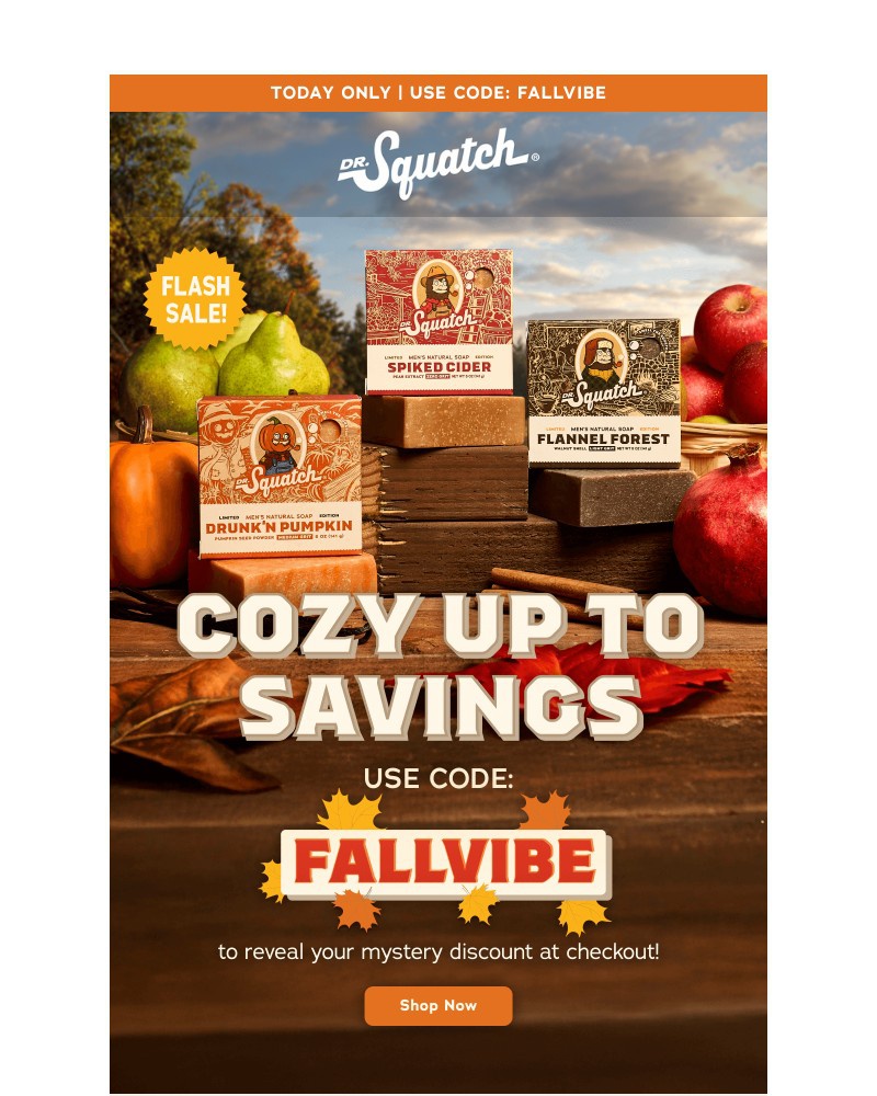 Screenshot of email with subject /media/emails/flash-sale-fall-edition-74d4af-cropped-b8b5240e.jpg