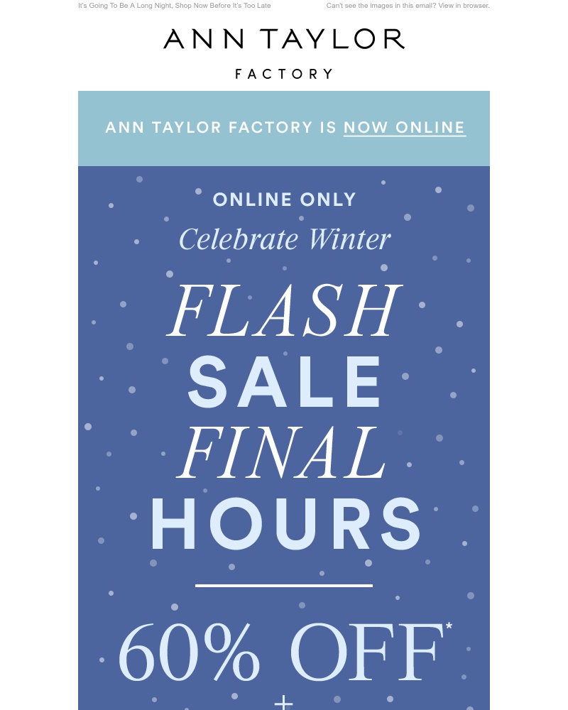 Screenshot of email with subject /media/emails/flash-sale-final-hours-60-off-extra-15-off-cropped-095f111d.jpg