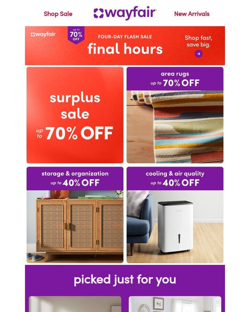 Screenshot of email with subject /media/emails/flash-sale-final-hours-flash-sale-c42592-cropped-a1ac9404.jpg