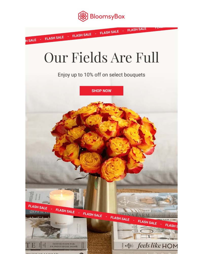 Screenshot of email with subject /media/emails/flash-sale-fresh-blooms-short-window-242e5e-cropped-94e5f884.jpg