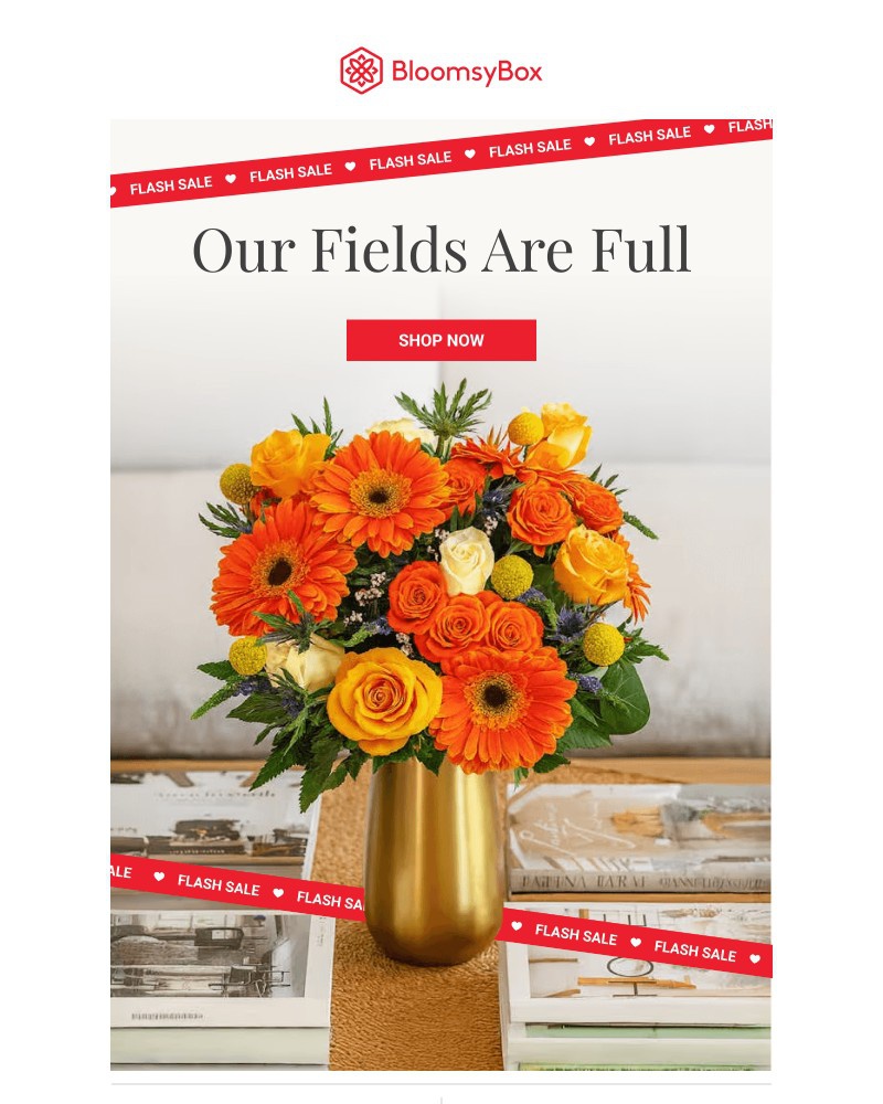 Screenshot of email with subject /media/emails/flash-sale-fresh-blooms-short-window-2e8ca4-cropped-86c40be1.jpg
