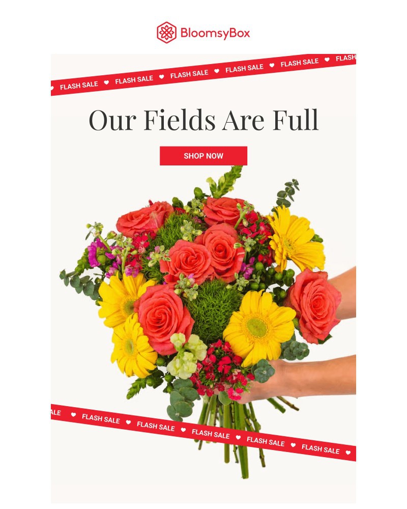 Screenshot of email with subject /media/emails/flash-sale-full-fields-fresh-blooms-fast-window-5d6b93-cropped-f7ccc64c.jpg