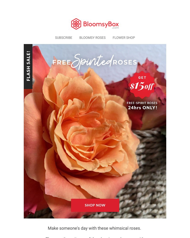 Screenshot of email with subject /media/emails/flash-sale-get-15-off-free-spirit-roses-08b524-cropped-d13067c1.jpg
