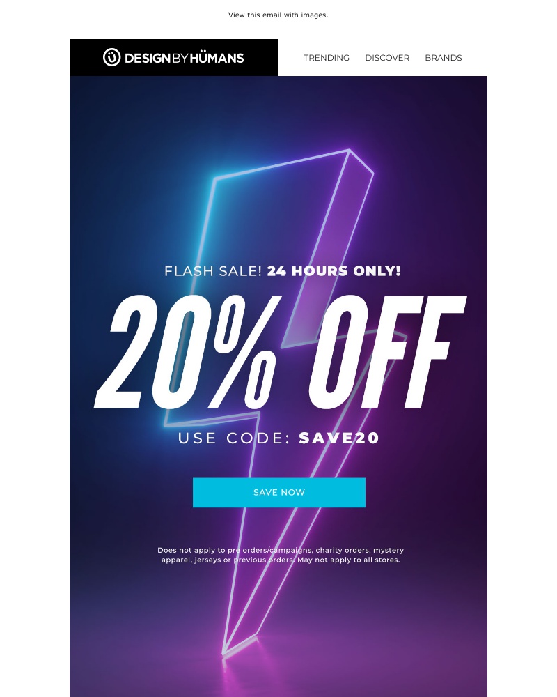 Screenshot of email with subject /media/emails/flash-sale-get-20-off-cropped-cfbc173b.jpg