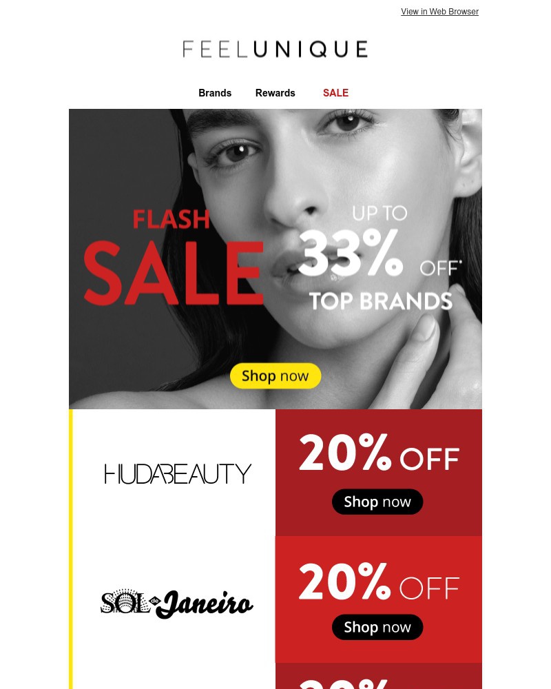 Screenshot of email with subject /media/emails/flash-sale-get-in-quick-d177e0-cropped-da6fd978.jpg