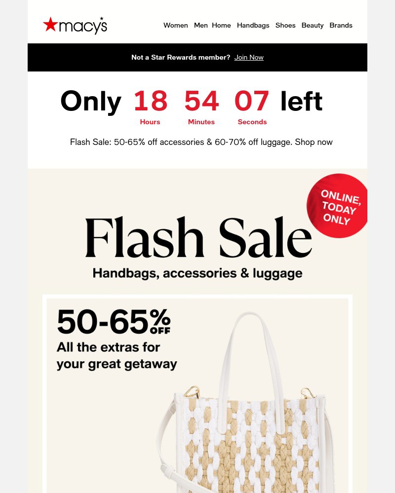 Screenshot of email with subject /media/emails/flash-sale-handbags-accessories-luggage-more-6ea7b5-cropped-73456ee4.jpg