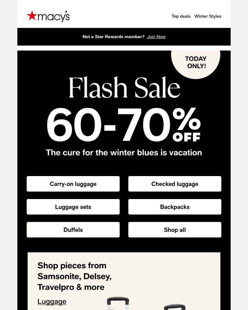 Screenshot of email with subject /media/emails/flash-sale-hours-left-to-get-up-to-70-off-luggage-3fd69a-cropped-342e9b2d.jpg