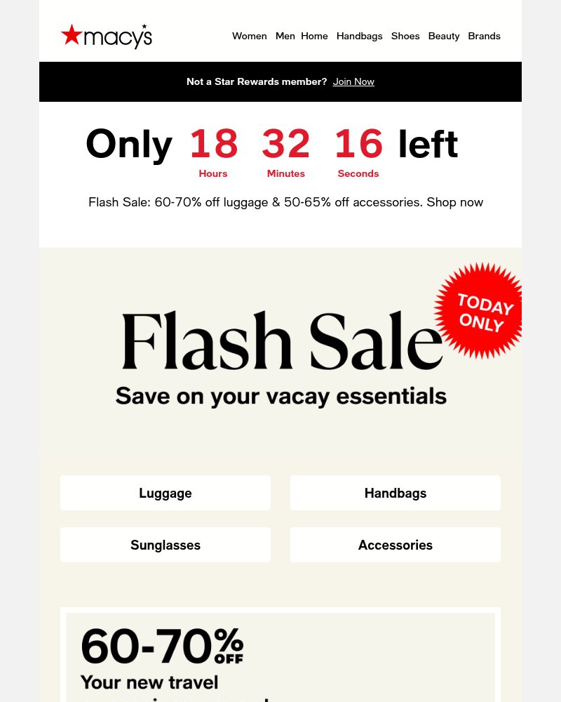 Screenshot of email with subject /media/emails/flash-sale-luggage-handbags-sunglasses-more-ca2fb6-cropped-eec344fe.jpg