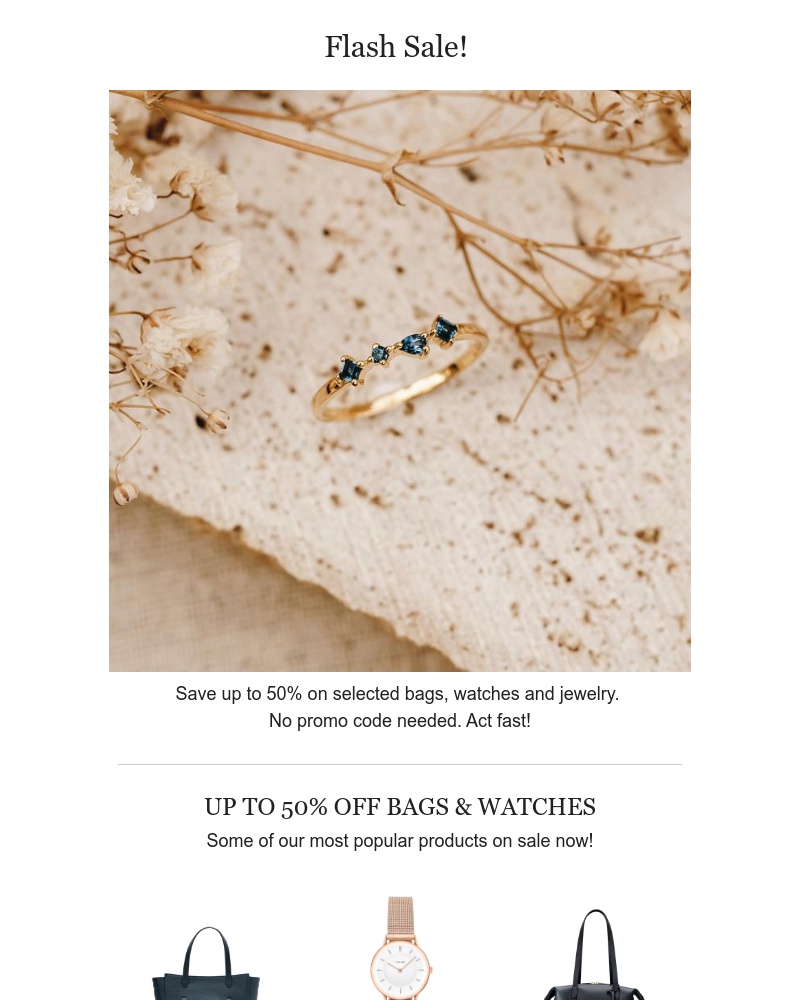 Screenshot of email with subject /media/emails/flash-sale-now-ad59ba-cropped-03fac732.jpg